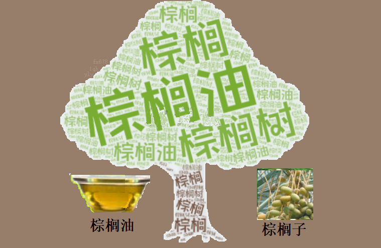 XM外汇官网:3.4%周涨幅引爆市场!棕榈油“动能积聚”背后,警惕这一关键变量反